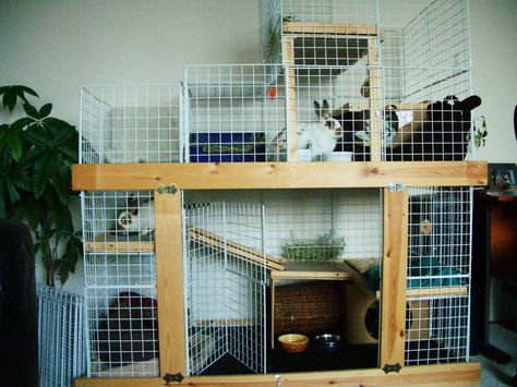 A lovely bunny condo built by Robert and Rosanna! This is awesome... the wood makes it look so much more structurally sound! Bunny Enclosure, Rabbit Tips, Rabbit Things, Bunny Houses, Bunny Pen, Diy Bunny Cage, Bunny Homes, Rabbit Hutch Plans, Benny And Joon