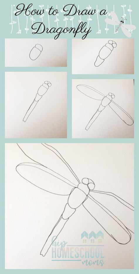 Draw a dragonfly and add patterns to create a unique zentagle project. Dragonfly Artwork Drawings, Dragonfly Drawing Watercolor, Dragonfly How To Draw, Dragon Flies Art, Free Dragonfly Printables, How To Draw A Dragon Fly, How To Draw A Dragonfly Step By Step, How To Paint A Dragonfly, Paint Dragonfly