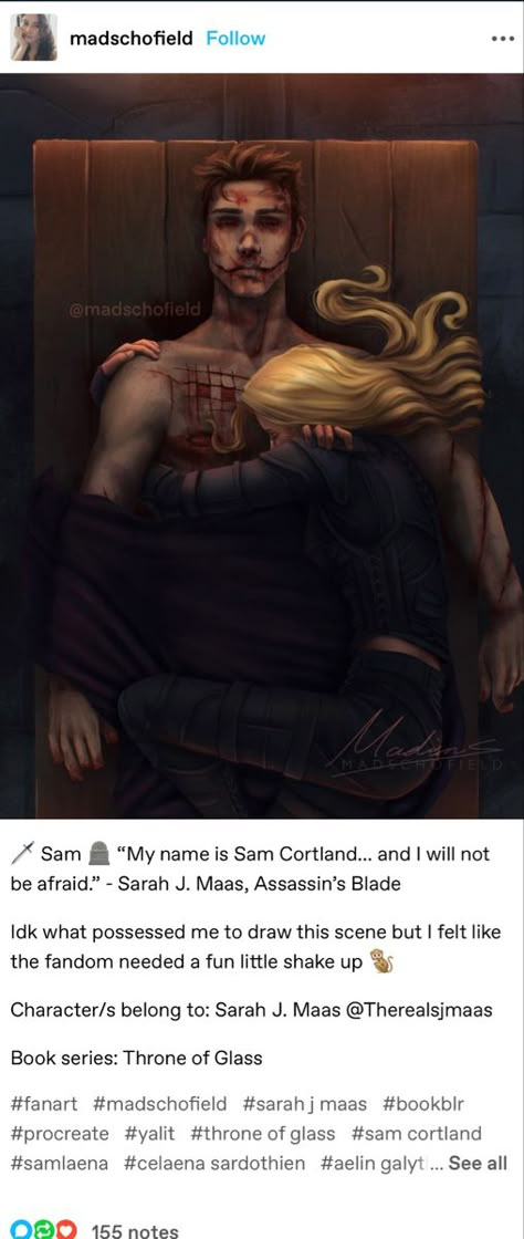 Assassin's Blade Fanart, Sam And Aelin, Sam Throne Of Glass Fan Art, Throne If Glass Fanart, Celaena And Sam Fanart, Sam And Caleana, Celaena Sardothien And Sam Cortland, Fantasy Books Fanart, Tog Sam Cortland