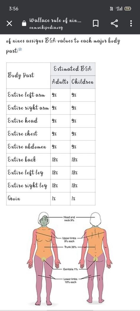 Rule of nine is used to calculate TBSA of a human body. #burns #pediatricstudy Rule Of Nines, Lower Limb, Head And Neck, Pediatrics, Human Body, Human