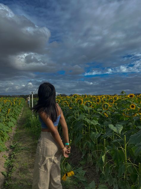 Sunflower Field Pictures, Sunflower Pictures, Sunflower Field, Sunflower Fields, Adventure Park, Good Energy, Instagram Inspo, Minecraft Houses, Poses For Pictures