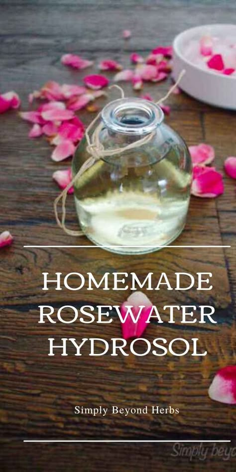 Uses For Rose Water, Rose Petal Recipes, Making Rose Water, Make Rose Water, Rose Water Diy, Herbal Diy, Medicinal Herb Garden, Herbal Oils, Rose Hydrosol