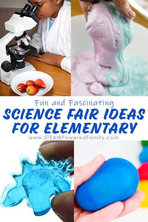 Various cool science fair ideas for elementary students Heat Transfer Activities, Science Fair Projects For Elementary, Stem Fair Projects, Science Fair Ideas, Bath Bomb Recipe Easy, Science Fair Project Ideas, Elementary Science Fair Projects, Fair Project Ideas, Science Fair Board