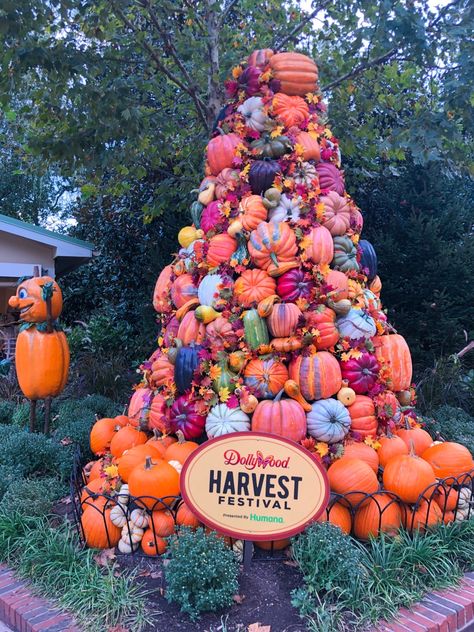 Dollywood's Harvest Festival and Great Pumpkin LumiNights - Harvest Festival Food, Fright Fest, Pumpkin Tree, Best Pumpkin Patches, Fun Halloween Treats, Harvest Fest, Pumpkin Festival, Patch Ideas, Pumpkin Squash