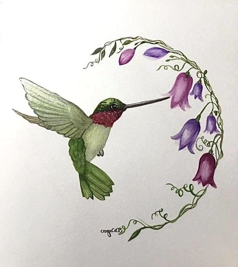 Hummingbird Drawing With Flowers, Hummingbird Pictures Art, Hummingbird Art Painting, Watercolor Hummingbirds, Hummingbird Painting Acrylic, Hummingbird Art Drawing, Hummingbird Clipart, Hummingbird Drawing, Oil Painting Lessons