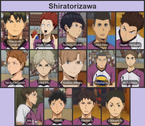 Fukorudani Team Haikyuu, Shiratorizawa Goshiki, Haikyu Members Name, Haikyuu Shiratorizawa Team, Haikyuu Characters Names, Shiratorizawa Team, Haikyuu Shiratorizawa, Haikyuu Teams, Ushijima Wakatoshi