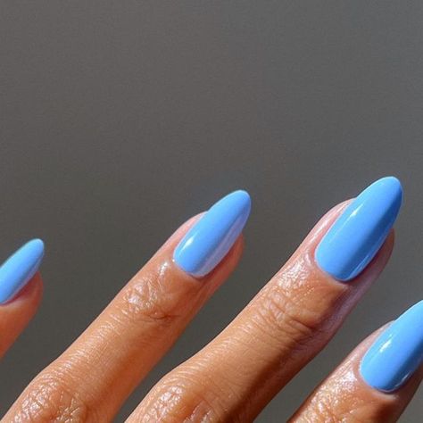 Melanie Graves on Instagram: "Possibly my favorite blue I own 🫐🦋🩵 @guccibeauty Lucy Baby Blue — #guccibeauty #blueberrymilknails #bluenails #nailinspo #nailinspiration" Blueberry Milk Manicure, Blueberry Milk Nails 2023, Blueberry Milk Nails Sofia Richie, Blueberry Milk Nails, Fierce Nails, Blueberry Milk, Bed Of Nails, Nail Summer, Finger Paints