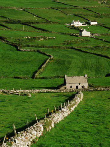 The Irish countryside Connemara Ireland, Abandoned Farmhouse, Farm Land, Irish Countryside, Love Ireland, Irish Cottage, Plane Ride, Irish Roots, Irish Culture