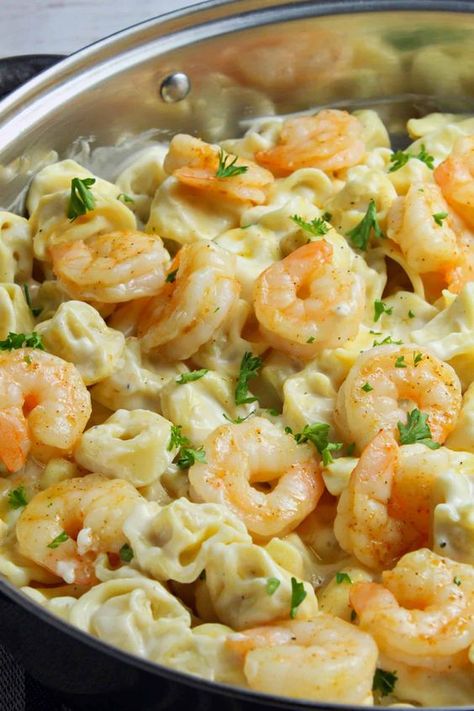 Tortellini With Shrimp, Shrimp Tortellini Alfredo, Shrimp Tortellini, Shrimp Meals, Buffalo Shrimp Recipes, Cheese Tortellini Recipes, Cheesy Shrimp, Tortellini Alfredo, Fish Entrees