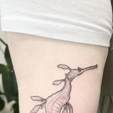 Weedy Sea Dragon Tattoo, Leafy Sea Dragon Tattoo, Sea Dragon Tattoo, Sea Animal Tattoos, Aquatic Tattoo, Weedy Sea Dragon, Leafy Sea Dragon, Sea Dragons, Hippie Tattoo