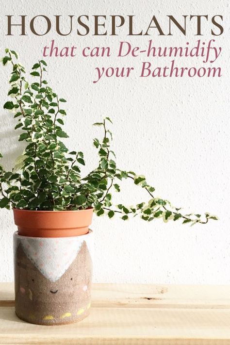 Wet Room Bathroom Plants, Bathroom Plant Decor Ideas Modern, Bathroom With Outdoor Garden, Plants In Master Bath, Bathroom Vanity Plants, Trees In Bathroom, Bathroom Interior Design Plants, Plants For Laundry Room, Plants That Thrive In Bathrooms