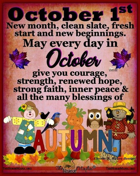 October 1st Quote, New Month Wishes, October Quotes, October Baby, Weekday Quotes, Blessed Sunday, Hello October, Strong Faith, Good Morning God Quotes