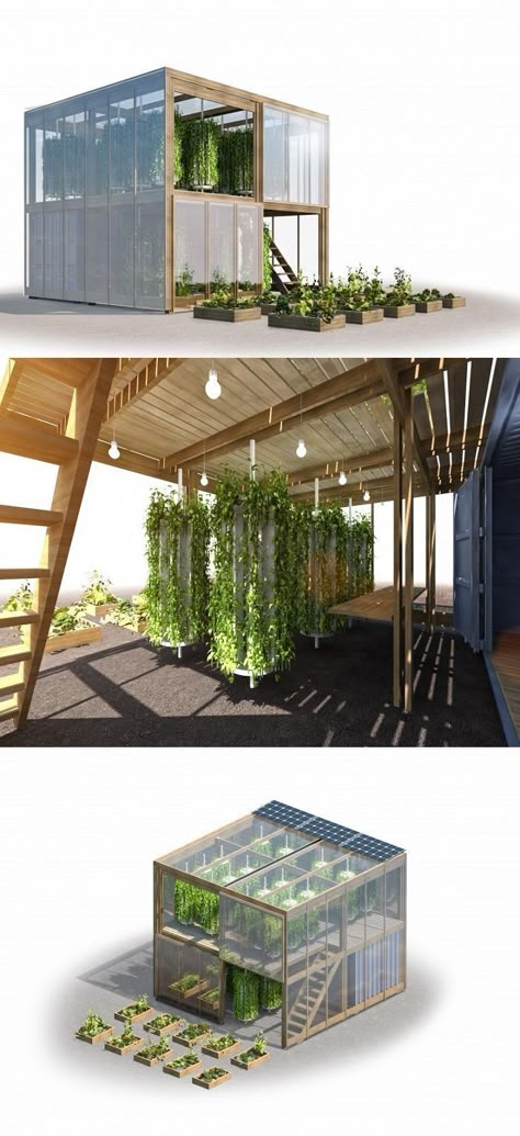 Habitable for men? Garden Screen, Vertical Farming, Urban Farm, Plants Growing, Urban Homesteading, Aquaponics System, Have Inspiration, Hydroponic Gardening, Urban Gardening