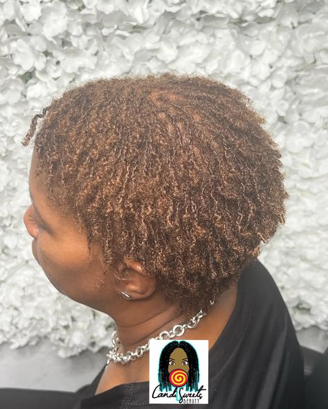 Two months into her sisterlocks journey and her curly ends are coming along nicely 🌞 Yes! We’re accepting new and transfer clients •Cosmetologist •Veteran •Certified Sisterlocks Consultant for over 15 years •Microlocks Loctician available •Teaching Salon •IFBA tool saler •In Home Studio Specializing in Microlocs & Sisterlocks, Sisterloc Extensions & Hair Sprinkles 💻: www.CandiSweetsBeauty.com 6782451816 #sisterlocksva #sisterlocks757 #sisterlocks #sistalocs #sisterlockextensions #sis... Sisterlocks Journey, In Home Studio, Extensions Hair, Sisterlocks, Home Studio, Sprinkles, Hair Extensions, Hair, Quick Saves