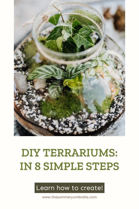 How To Build An Open Terrarium, Plants In A Jar Terrarium Ideas, Small Terrium Ideas, Best Plants For A Terrarium, Planting A Terrarium, How To Make An Open Terrarium, Open Top Terrarium, Terrainium Ideas, Terriums How To Make A