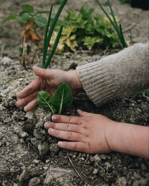 Dirty Hands, Protect Nature, Shotting Photo, Slow Life, Gardening For Kids, Slow Living, Permaculture, Kitchen Garden, Beautiful Life