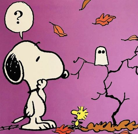 Calendar Sanrio, Sanrio Collection, Peanuts Woodstock, Woodstock Snoopy, Snoopy Dog, Charlie Brown Halloween, Woodstock Peanuts, What Is Halloween, Peanuts Halloween