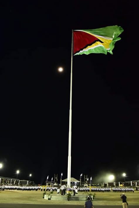 Guyana Aesthetic, Kaieteur Falls, Guyanese Flag, Georgetown Guyana, Guyana Flag, Caribbean Culture, World Flags, My Culture, Flags Of The World