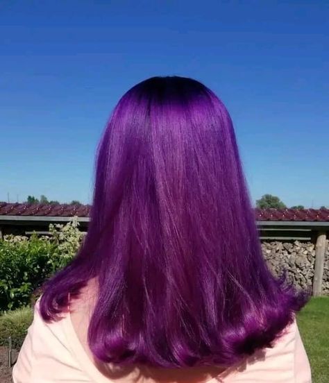 Dyed Hair Inspiration Purple, Aesthetic Purple Hair, Purple Hair Aesthetic, Vibrant Purple Hair, Hair Coloring Ideas, Pelo Color Borgoña, Purple Hair Dye, Bright Purple Hair, Girl Hair Colors