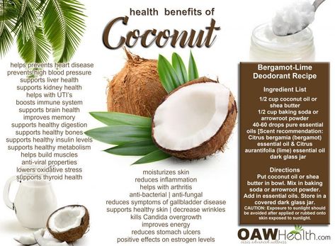 Coconut Health, Benefits Of Coconut, Deodorant Recipes, Coconut Benefits, Reducing Inflammation, Coconut Health Benefits, Healthy Cat Treats, Healthy Metabolism, Best Health