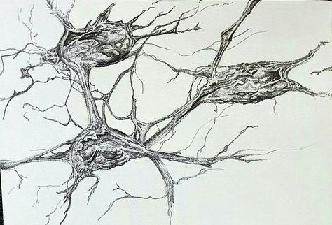 Nerves Drawing, Nerve Drawing, Anatomy Architecture, Simple Complex, Conjoined Twins, Organic Patterns, Art Corner, Organic Pattern, Concept Art Drawing