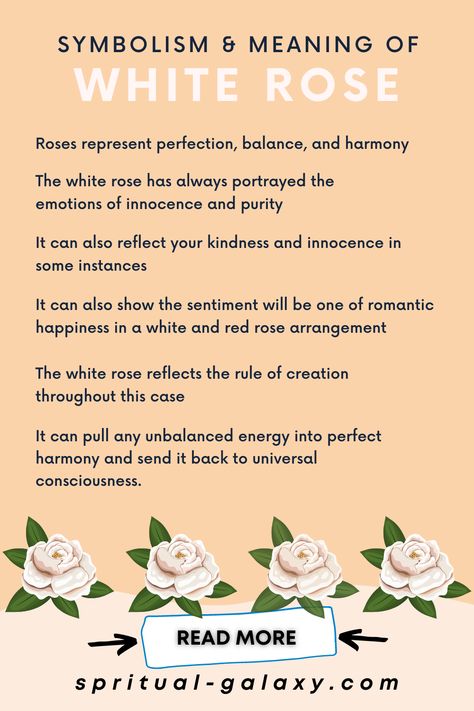 White Rose Meaning & Symbolism: Complete Guide! White Flowers Meaning, Meaning Of White Roses, White Rose Meaning Quotes, Flowers Spiritual Meaning, Rose Spiritual Meaning, White Rose Symbolism, White Roses Meaning, Rose Meanings, Rose Symbolism