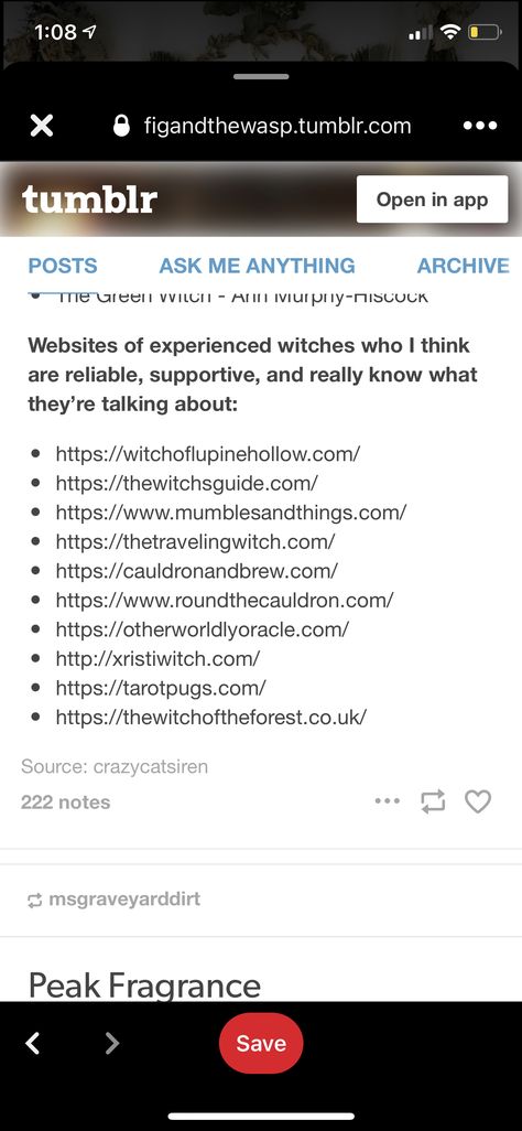 Witch Websites, Witchcraft Websites, Tech Witchcraft, Minimalist Witchcraft, Witchy Websites, Witchcraft Research, Grimoire Aesthetic, Witchcraft Stuff, Research Websites