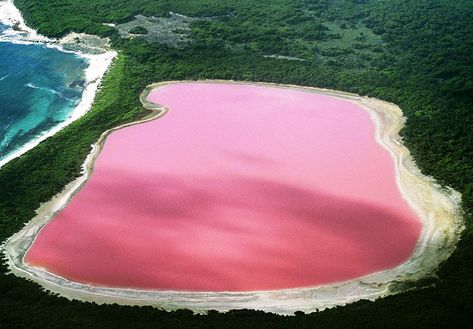 MyBestPlace - Lake Hillier, The Mystery of the Pink Lake Lake Hillier Australia, Lake Retba, Middle Island, Zhangjiajie, Socotra, Pink Lake, Plitvice Lakes National Park, Plitvice Lakes, Parc D'attraction