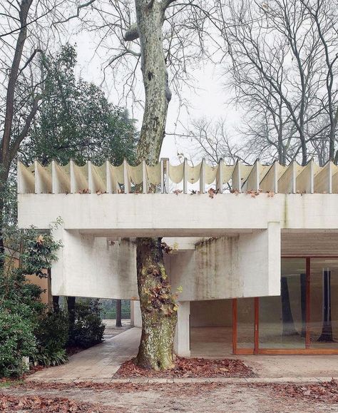 Gizem Fazlıoğlu | Nordic pavilion by Sverre Fehn “Sverre Fehn’s Nordic Pavilion in Venice is a masterpiece of postwar architecture. The young Norwegian… | Instagram Nordic Pavilion, Claudio Silvestrin, Sverre Fehn, Pavilion Design, John Pawson, Tree Nursery, Arch Daily, Architecture Photography, Architecture Art