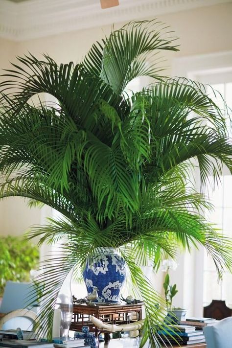 West Indies Style, British West Indies, British Colonial Decor, Popular Interior Design, Greenery Decor, Bunny Williams, British Colonial Style, Tropical Home Decor, Blue And White Vase