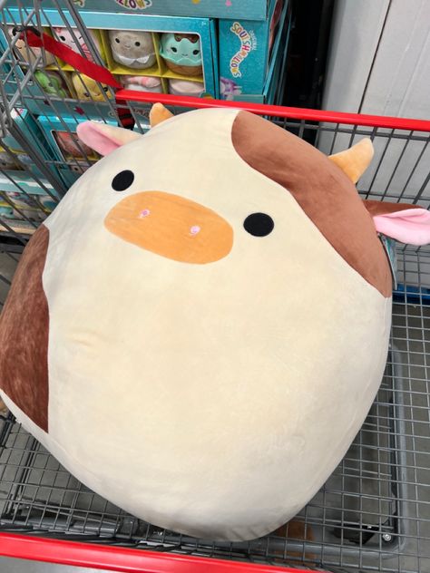 Cute Squishmallows Big, Squish Mellows Cow, Squishmallow Aesthetic, Cow Squishmallow Collection, Rare Squishmallows, Pink Squishmallow Cow, Cow Squishmallow, Squish Mallows, Squish Mellow