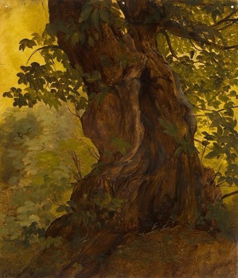 Country Witch, Tree Oil Painting, Painting Trees, Hudson River School, Forest Painting, Art Drawings Sketches Creative, Art Studies, Tree Art, Tree Painting