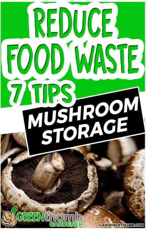 How To Store Fresh Mushrooms, How To Keep Mushrooms Fresh Longer, Storing Mushrooms In Fridge, Store Mushrooms In Fridge, How To Store Mushrooms In Fridge, Storing Mushrooms, Drying Mushrooms, Freezing Mushrooms, How To Store Mushrooms