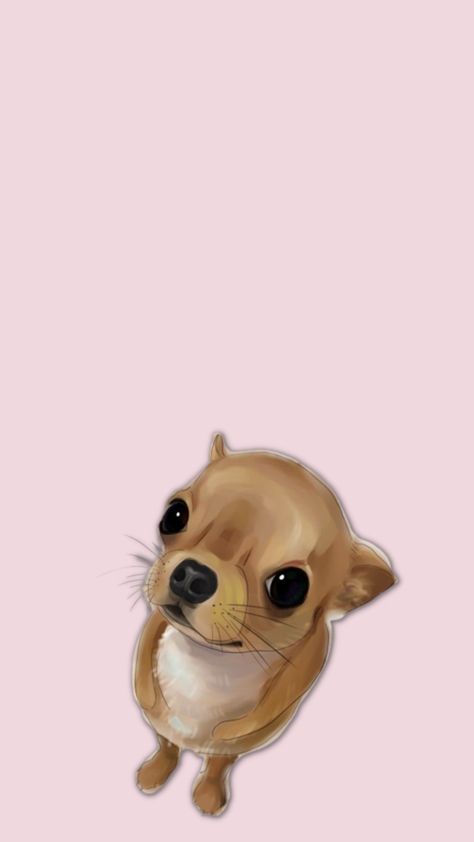 Cartoon Dog Chihuahua, Chihuahua Wallpaper Backgrounds, Chihuahua Wallpaper Iphone, Chihuahua Wallpaper, Chihuahua Aesthetic, Iphone Wallpaper Plants, Dog Scrapbook, Chihuahua Art, Dog Spaces