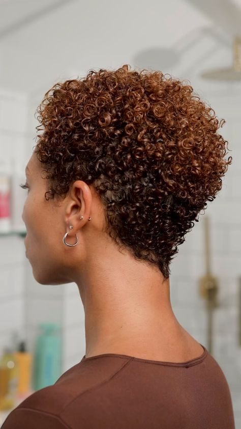 Lesley (@freshlengths) • Instagram photos and videos Twa Haircuts, Mahogany Curls, Big Chop Natural Hair, Hip Hair, Curly Pixie Cut, Shaved Side, Shaved Side Hairstyles, Hair Color Options, Curly Pixie Cuts