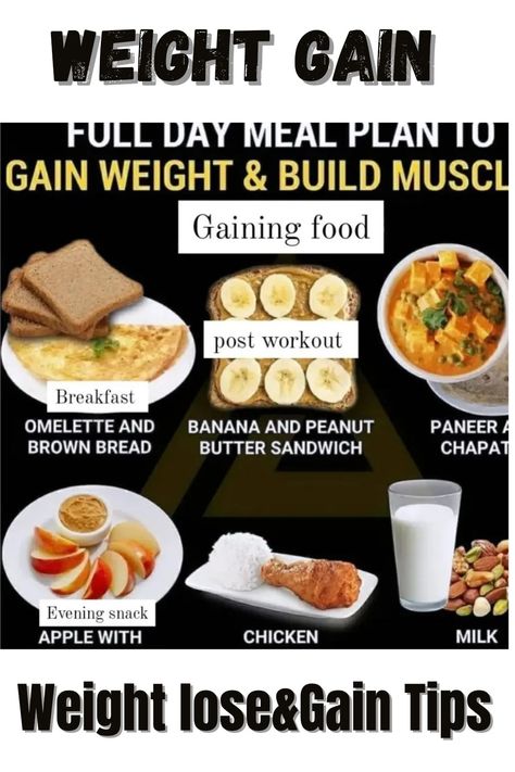 how to gain weight.weight gain.how to gain weight.weight gain diets.diet planner for weight gain Caloric Surplus, Weight Gain Diet Plan, Post Workout Breakfast, Egg Calories, Healthy Weight Gain Foods, Food To Gain Muscle, Weight Gain Diet, Fish Eggs, Weight Gain Meals