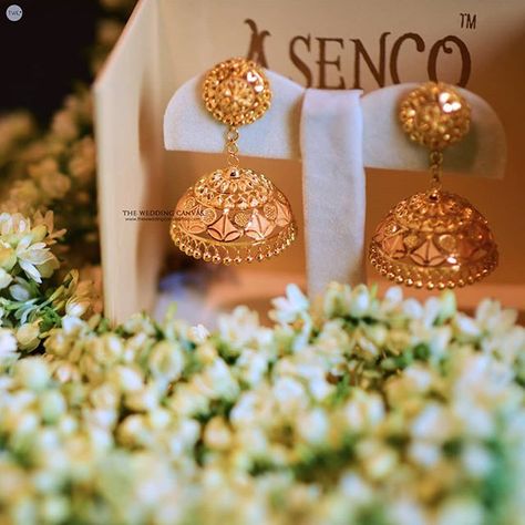 The Wedding Canvas (@twc2014india) • Instagram photos and videos Jhumka Design, Cage Earrings, Gold Jhumkas, Jhumka Designs, Bridal Jewelry Sets Brides, Wedding Canvas, Unique Gold Jewelry Designs, Gold Jhumka, Unique Gold Jewelry