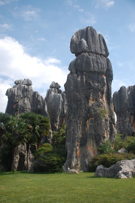 Stone Forest, Yunnan China, Standing Stone, Ancient Forest, Unique Trees, Ancient Mysteries, Landscape Illustration, Rock Formations, Nature Images