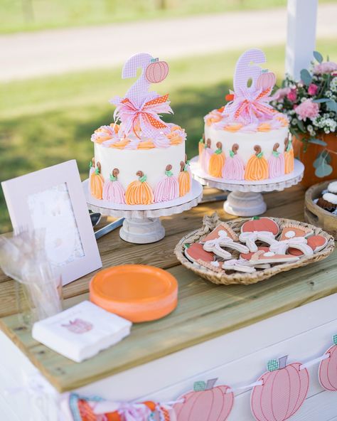 Fall HAPPIES!! Still swooning over this pumpkin patch party!! Pumpkin Themed Birthday Party, 3 Year Birthday Theme, 3 Year Birthday Theme Girl, Fall Themed Birthday Party, Pumpkin Patch Birthday Party, Pumpkin Patch Birthday, Pumpkin Patch Party, Patch Party, 2nd Bday Ideas