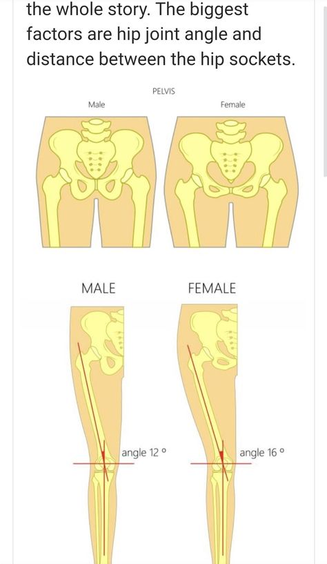 Between Male and female bones. Forensic anthropology 2 Males 1 Female, Female Bone Structure, Male Pelvis Anatomy, Forensic Sketching, Hand Bones Drawing Sketch, Male Hips Reference, Male Pelvis, Pelvis Bone, Pelvis Anatomy