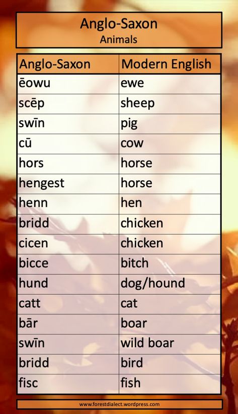 Anglo-Saxon Animal Names | Anglo Saxon Mythology, Anglo Saxon School Project, Language Creation, Anglo Saxon Language, Old English Language, Anglo Saxon Kingdoms, Saxon History, English Romance, Anglo Saxon History