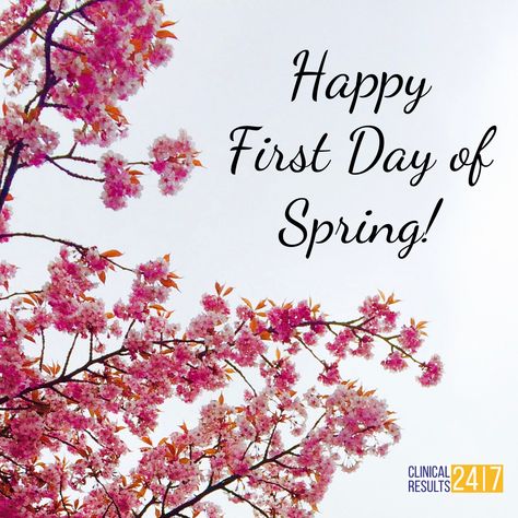 Happy Spring Day, 1st Day Of Spring, Summer Scenery, Obx Nc, Daily Wishes, Happy First Day Of Spring, Obx Vacation, Hello March, Spring Quotes