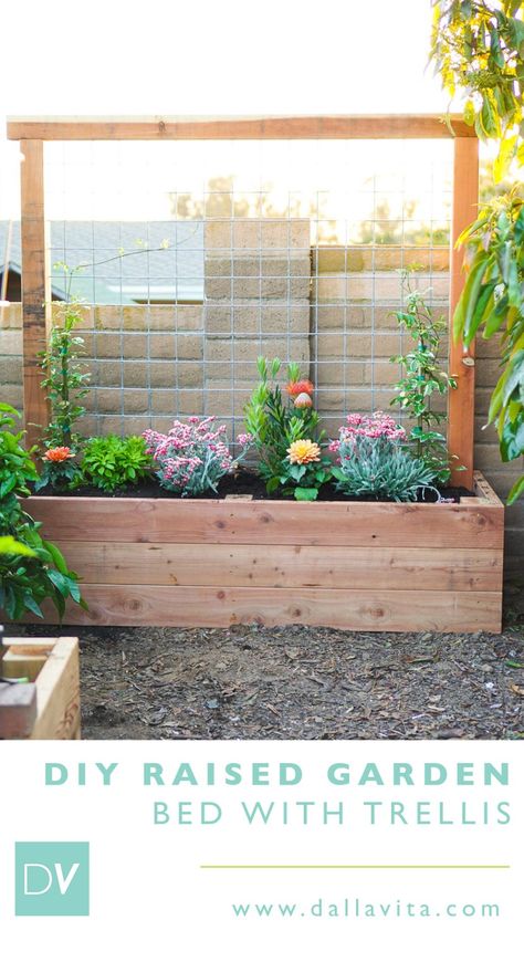 Planter Box With Trellis, Jardim Diy, Raised Planter Beds, Planter Beds, Diy Trellis, Wooden Planter, Diy Raised Garden, Raised Garden Beds Diy, Raised Planter