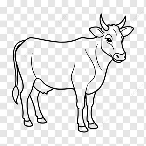 cow coloring line art for children vector cow coloring cow coloring book pages cow vector png Cow Drawing Simple, Cow Drawing Easy, Cow Sketch, Cow Coloring Pages, Sketch Images, Cow Vector, Art For Children, Cow Drawing, Cow Colour