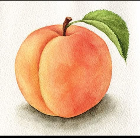 Peach Watercolor Painting, How To Draw A Peach, Peaches Drawing, Fruit Watercolor Painting, Painted Peaches, Peach Sketch, Watercolour Fruits, Watercolour Fruit, Drawing Fruit