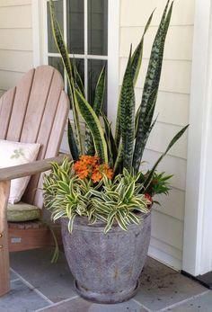 Porch Plants, Patio Flowers, Container Garden Design, Potted Plants Outdoor, Garden Decor Projects, Garden Containers, House Plants Decor, Container Garden, Container Flowers