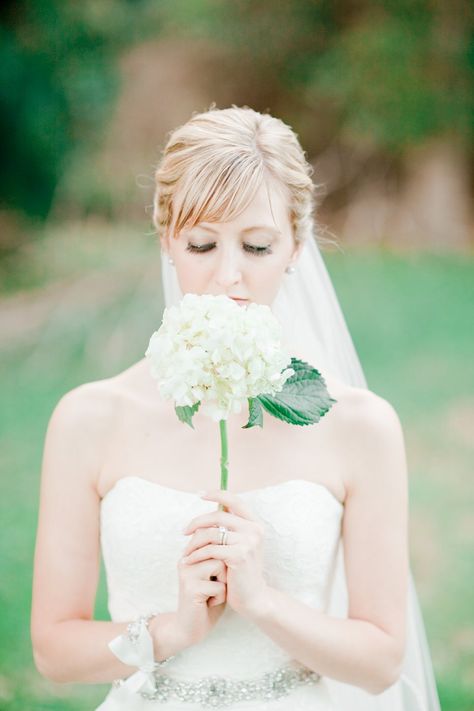 UNIQUE Cheap Wedding Bouquets, Protea Wedding, Small Wedding Bouquets, Hydrangea Bouquet Wedding, Red Bouquet Wedding, Chic Vintage Brides, Bouquet Bride, Bridal Gallery, Hydrangea Bouquet