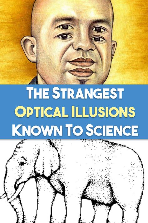 The world around us is full of visual trickery... Mind Illusions, Paper Helmet, Random Patterns Drawing, Moving Optical Illusions, Classy Room, Op Art Lessons, Eye Illusions, Funny Illusions, Physics Projects