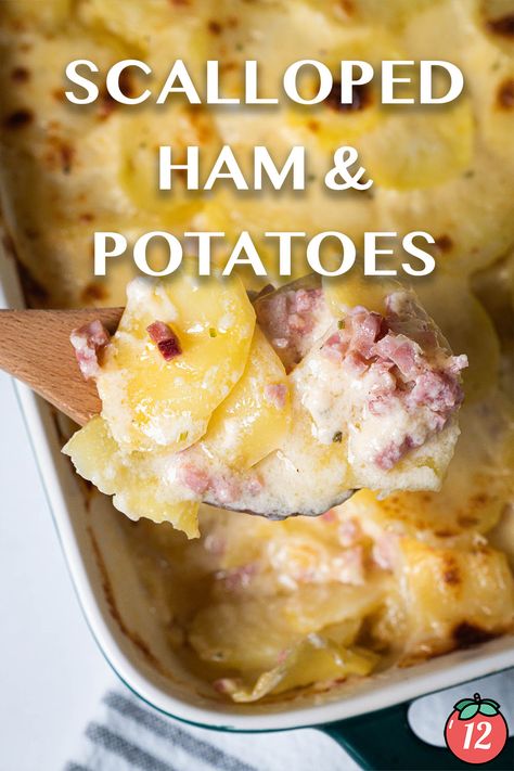 Scalloped Ham and Potatoes | 12 Tomatoes Dutch Oven Scalloped Potatoes And Ham, Scalloped Potatoes And Ham No Cheese, Old Fashioned Scalloped Potatoes And Ham, Healthy Scalloped Potatoes And Ham, Gluten Free Scalloped Potatoes And Ham, Scalp Potatoes And Ham, Creamy Scalloped Potatoes With Ham, Ham And Scalloped Potatoes Easy, Slow Cooker Scalloped Potatoes And Ham