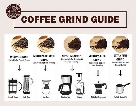 Coffee Grind Guide Types Of Coffee Beans, Coffee Brewing Methods, Coffee Infographic, Coffee Guide, Different Coffees, Coffee Facts, Coffee Bean Grinder, Ground Coffee Beans, Coffee Grinds